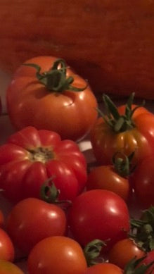 Tomato - German Baptist Heirloom Slicer