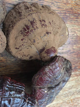 Reishi Mushroom (dried, whole)