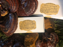 Reishi and Chaga Healing Mushroom Blend