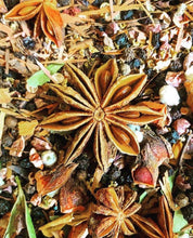 Hylde-Moer (Elder Mother) Sacred Herb and Mushroom Oxymel