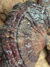 Reishi Mushroom (dried, whole)