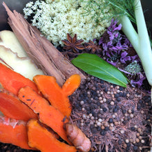 Hylde-Moer (Elder Mother) Sacred Herb and Mushroom Oxymel