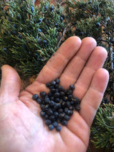 Juniper-Rose Face Cleansing Oil