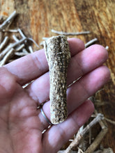 Silene Capensis (African Dream Root)