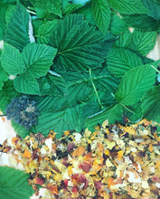 PMS (Pretty Magical Stuff) Moon Cycle Tincture