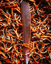 Klip Dagga Seeds (Leonotis nepetifolia)
