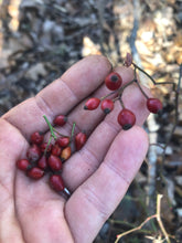 Juniper-Rose Face Cleansing Oil