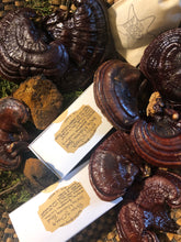 Reishi and Chaga Healing Mushroom Blend