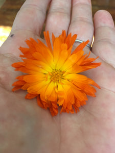 Calendula  (dried flower heads)