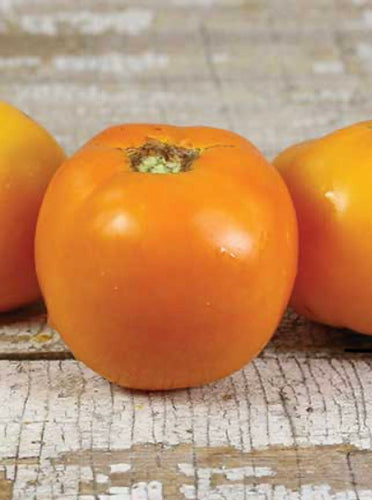 Tomato (Heirloom Golden Jubilee) Seed