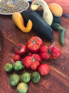 Tomato - German Baptist Heirloom Slicer