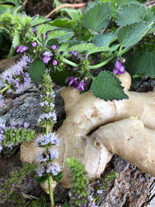 Shaking Leaf - Anxiety & Nervous Stomach Tea