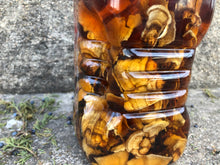 Wild Turkey Tail Tincture