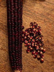 Corn (Red Indian)