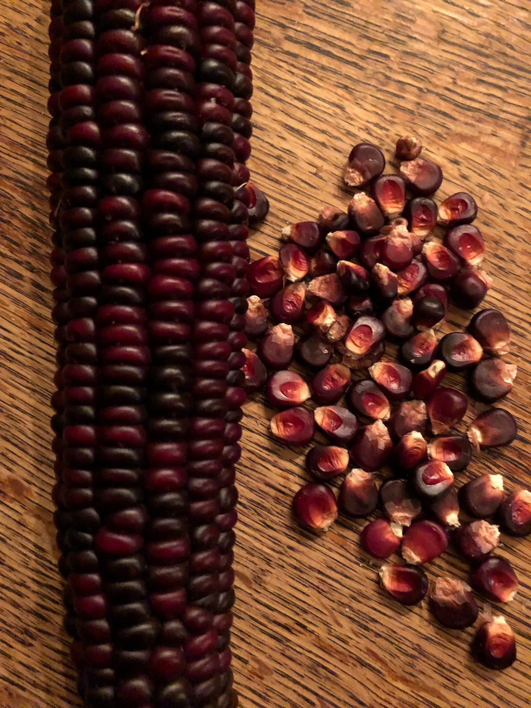 Corn (Red Indian)