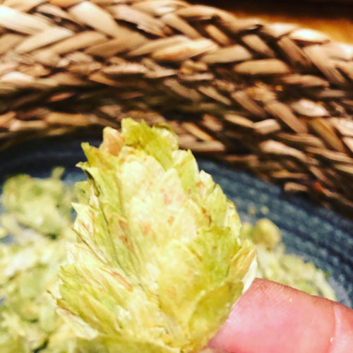 Hops (Dried Whole Cascade Hops Flowers)