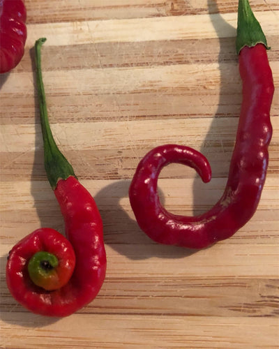 Cayenne Pepper seeds