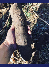 Strong Roots Tea (Ginger & Burdock Root)