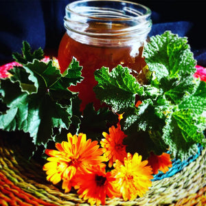 Cough Remedy Tea (Horehound, Calendula, Mullein & Marshmallow Root)