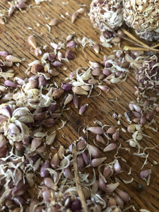 Garlic - Fresh Heirloom Rose - Bulbits