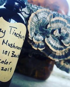 Wild Turkey Tail Tincture