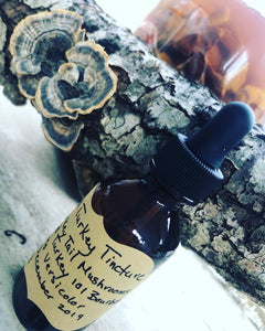 Wild Turkey Tail Tincture