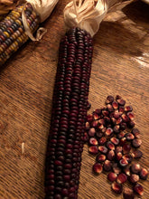 Corn (Red Indian)