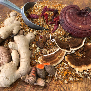 Fire Elixir Oxymel Anti Inflammatory Herb & Mushroom Remedy